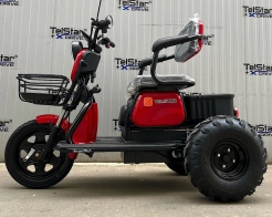 Триместна електрическа триколка OFFROAD ДЕЗЪРТ TS 350-7-NEW 2500W 25Ah снимка 210