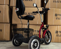 Електрическа триколка с равна платформа задно предаване TS 200.3 48V 1200W снимка 255