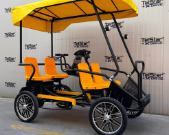 Електрическа рикша с педали Tourist-4 23Ah без регистрация снимка 253